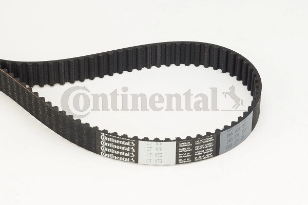 Timing Belt